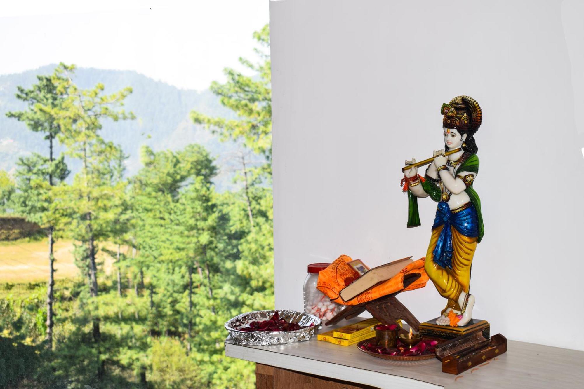 Royal Green Mashobra: Mountain and Valley Views Shimla Exterior photo