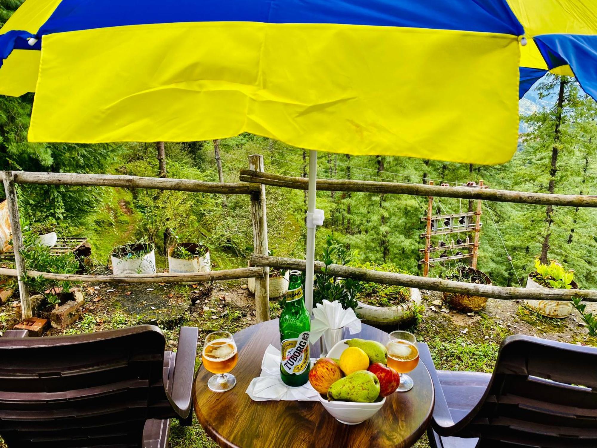 Royal Green Mashobra: Mountain and Valley Views Shimla Exterior photo